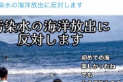 【風評加害】共産市議「初めての海楽しかったねお兄ちゃん。でももう海には入っちゃダメなの？悲しいよ」→炎上し画像削除も改変して再うp