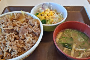 牛丼ってつゆぬきが正解じゃね？