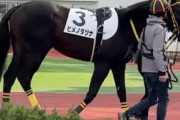 【祝】YouTuber・ヒカルの所有馬「ヒメノタヅナ」がデビュー2戦目で1着になる