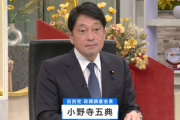 自民･小野寺政調会長､103万円の壁引き上げに｢国民民主は7～8兆円の欠損を何で穴埋めするのか提案しろ｣