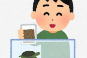 カメ?「臭くないです」←コイツをペットにしない理由