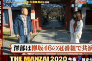 ハライチ澤部さん、長濱ねるとの欅坂46卒業後初共演に感激「妹が現場に来ちゃったみたい」【なりゆき街道旅】