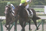 【競馬】スクリーンヒーローｖｓリーチザクラウン