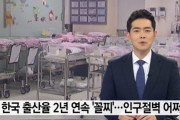 韓国人「大韓民国は消える運命なのでしょうか？‥」韓国の出生率、2年連続で198位世界最下位‥人口絶壁をどうするべきか？　韓国の反応
