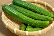 きゅうりを一番美味く食う方法