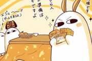 【FGO】こたつの準備が出来たニトクリス！！　完璧だな！！