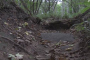 【鶏冠山】登山中の男性がクマ3頭に遭遇し襲われる ((((；ﾟДﾟ))))ｶﾞｸｶﾞｸﾌﾞﾙﾌﾞﾙ