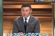 川上憲伸さん「ロッテ・松川はハーフスイングのアピールがかわいい」