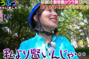 【日向坂46】KAWADAさんが本物セグウェイにw 動物園で驚きの光景を目の当たりする！【ウラ撮れちゃいました】