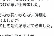 【朗報】De伊藤ゆ、ついに四葉のクローバーをゲット