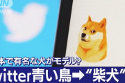 ツイッターがアイコンを日本の柴犬に変更　韓国左派激怒ｗｗｗｗｗｗｗｗ