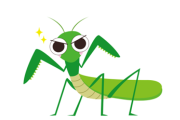 【名勝負！】カマキリさん、機械と戦ってしまう【動画】