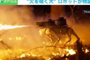 【アメリカ】火炎放射器搭載、四足歩行の山火事防止ロボット販売開始