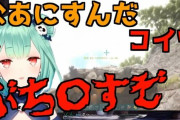 調子に乗りすぎた元・潤羽るしあのみけねこさん、超大物VTuberに殴られる！！
