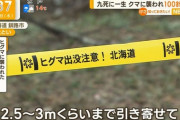 【悲報】クマ、気づく・・・「あれ？もしかしてヒトカス頭殴ったら一発やん？ｗ」