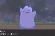 今強いポケモンがこちらｗｗｗｗ
