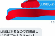 【悲報】Twitterで女の子にLINE聞いたら断られたんだが……