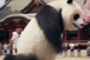 中国人「サッカー日本代表が世界征服へ出発！」　中国人「イケメンで爽やか」「中国代表は行かないの？」