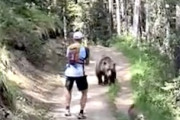 【動画】ハイキングコースで熊さんと出会ってしまった時の対処方。