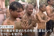 【悲報】インド人「牛糞を体に塗りたくってコロナ撃退だ！！」