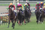 種牡馬になって欲しかった競走馬