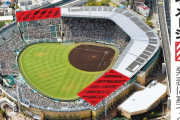 【野球】甲子園球場、夏の高校野球の暑さ対策で新たな構想を発表！　銀傘をアルプス席まで拡張 「観戦環境改善を」
