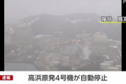 関西電力 高浜原発4号機が自動停止 中性子量が急減の異常信号