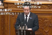 浜田議員　ガーシー懲罰案可決の場でColabo問題をぶっこみ無双開始…立憲共産党はヤジ大発狂ｗｗｗｗｗｗｗｗｗ