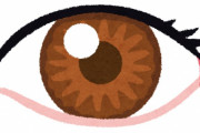 目をあと1個増やせるとしたらどこにつける？