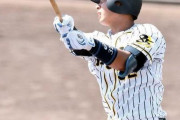 阪神ドラ２井上、会心５号　７・２９以来の一発に手応え