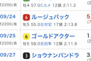 ●Q.オールカマーの勝馬は？ なんJ民A「レイパパレ」なんJ民B 「コージ」なんJ民C「マリリン」