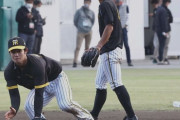阪神　中野拓夢、送球のコツつかんだ　連日の特守で来季「２番二塁」に向け手応え