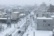 中南部を記録的な大雪が襲い、100便以上の国内線が欠航する悪天候に「雪も餅のように見える」「食べ物や飲み物に気をつけてね!」海外の反応