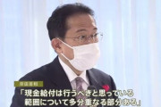 岸田総理大臣「18歳以下に１０万円給付」案に理解！！柔軟性を示す？！金額や年齢については予算次第❓❓?