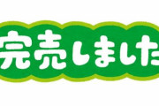 【すげえ】アイリスオーヤマのノートPCが完売
