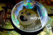 仮想通貨DOGEのモデルで世界一有名な柴犬「かぼす」、重病で危篤状態・・・