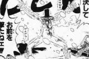 【ONEPIECE -ワンピース】ワンピースの泣けるシーン、お前らの65%が一致するｗｗｗｗｗ
