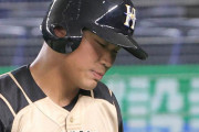 【悲報】日ハム王柏融のオープン戦成績