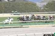 【3歳1勝クラス】マルガ弱すぎワロタw w w w w