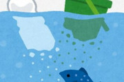 マイクロプラスチックってどう悪いんだよ　魚が小石を食べるのはOKでマイプラがだめなのは何でだよ！！