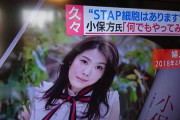 【画像】STAP細胞の小保方さん、ぐうかわになる