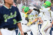 【朗報】阪神タイガースの天下、あと数年は続きそう
