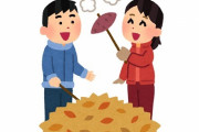 17万年前の「焼き芋」を発見！人類最古となる調理の証拠か