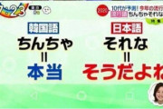 【韓国の反応】韓国人「日本の女子高生の間で流行っている単語がwwwww」