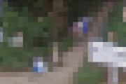 【画像】 GoogleEarthさん、女性のとんでもない姿を写してしまう・・