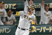 2026年の阪神打線、ガチでこのくらいの成績は残しそう