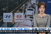 韓国も打撃を受けて相次いで倒産だ！IMFがまた来る！現代・起亜自動車の米国・欧州工場がシャットダウン 生産中止 韓国の反応