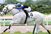 「真っ白な美しい馬」「白毛で初のG1制覇」「現在無敗」「ゴルシに似てきている」←この馬、来週の『桜花賞』走ります