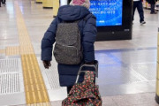とっくに溶かしてしまったニダ！　〜　韓国で年金支出膨らむ、高齢者の基準を75歳に？＝韓国ネット怒り「詐欺だ」「75歳まで働けと？」