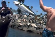 【動画】怖ぇぇ！記念撮影していた魚をトドに奪われてしまうハプニング。